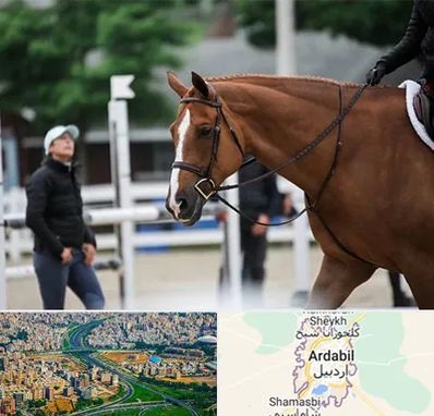 مربی سوارکاری در اردبیل