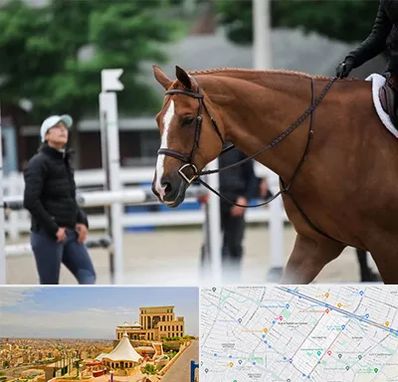 مربی سوارکاری در هاشمیه مشهد 