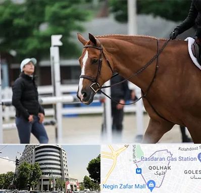 مربی سوارکاری در قلهک 