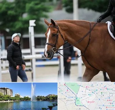 مربی سوارکاری در کوهسنگی مشهد 