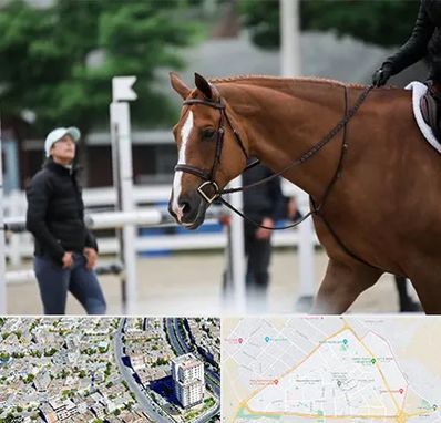 مربی سوارکاری در قاسم آباد مشهد 