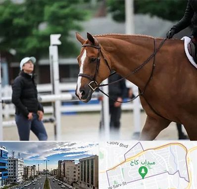 مربی سوارکاری در سعادت آباد 