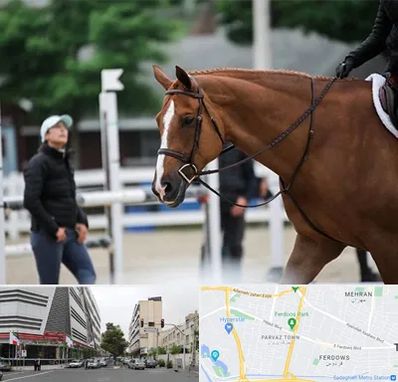 مربی سوارکاری در بلوار فردوس 