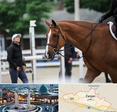 مربی سوارکاری در زنجان