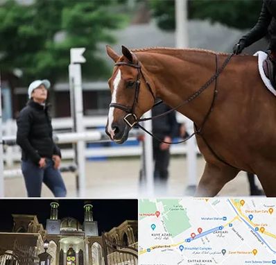 مربی سوارکاری در زرگری شیراز 