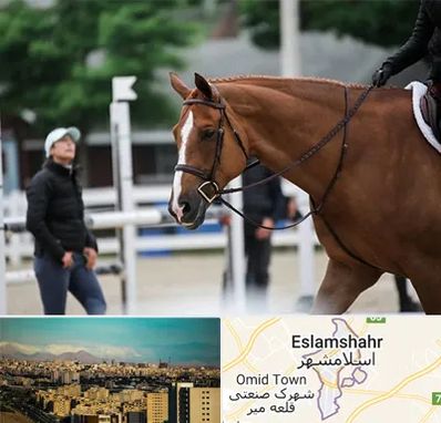 مربی سوارکاری در اسلامشهر