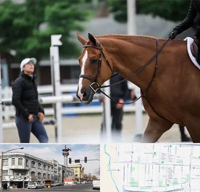 مربی سوارکاری در 17شهریور