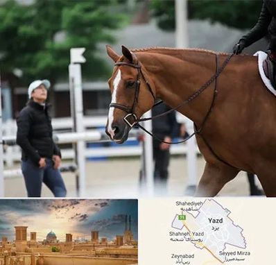 مربی سوارکاری در یزد