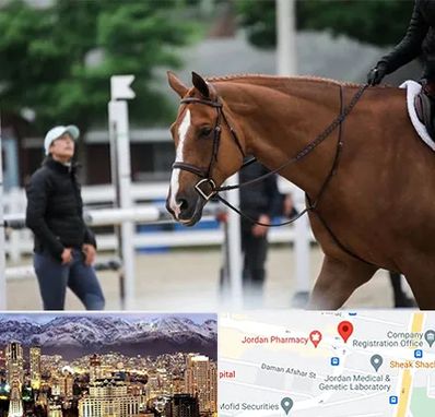 مربی سوارکاری در جردن 