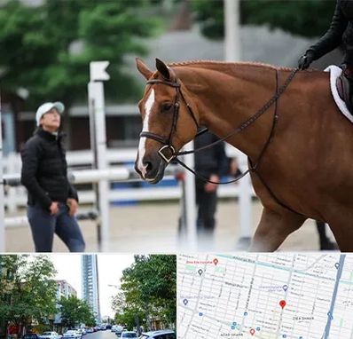 مربی سوارکاری در امامت مشهد 