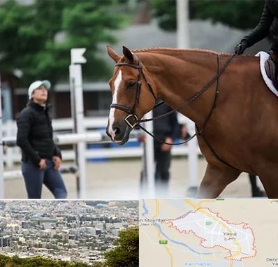 مربی سوارکاری در یاسوج