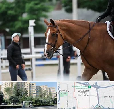مربی سوارکاری در آپادانا