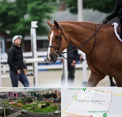 مربی سوارکاری در تهرانسر 
