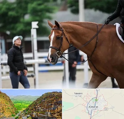 مربی سوارکاری در کامیاران