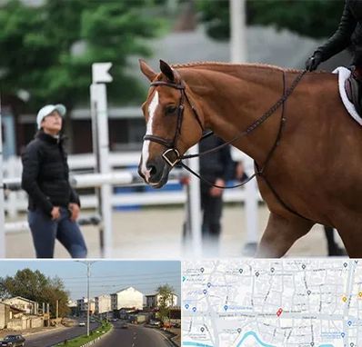 مربی سوارکاری در ضیابری رشت 