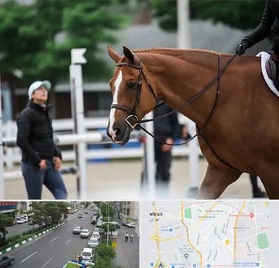 مربی سوارکاری در ستارخان 