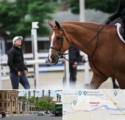 مربی سوارکاری در پاکدشت