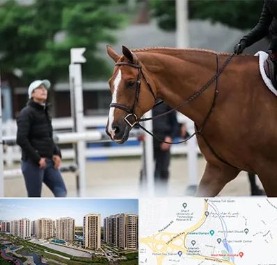 مربی سوارکاری در المپیک 