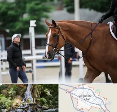 مربی سوارکاری در الیگودرز