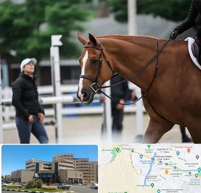 مربی سوارکاری در صیاد شیرازی مشهد 