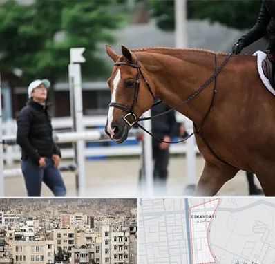 مربی سوارکاری در اسکندری