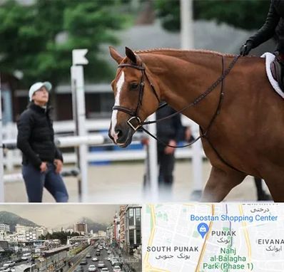 مربی سوارکاری در پونک 