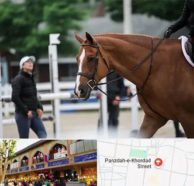 مربی سوارکاری در 15 خرداد