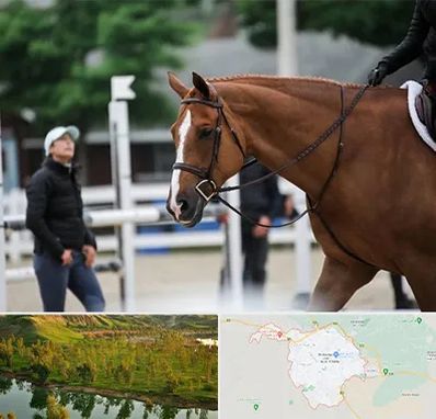 مربی سوارکاری در بهبهان