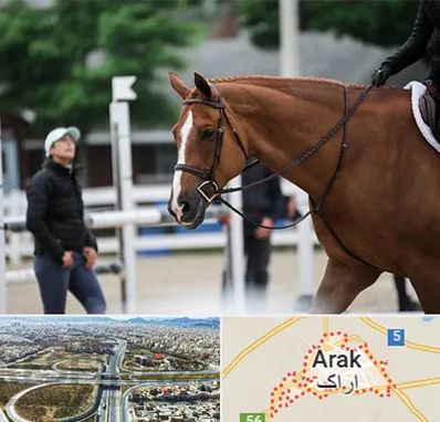 مربی سوارکاری در اراک