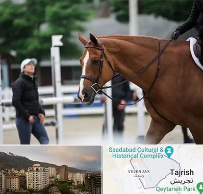 مربی سوارکاری در زعفرانیه 