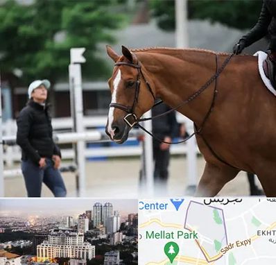 مربی سوارکاری در الهیه 