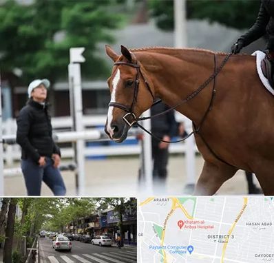 مربی سوارکاری در ظفر 