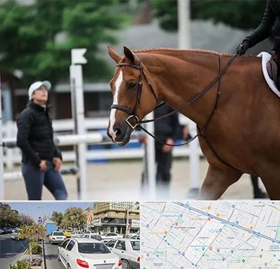 مربی سوارکاری در مفتح مشهد 