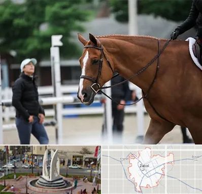 مربی سوارکاری در زابل