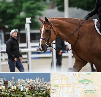 مربی سوارکاری در شرق تهران 