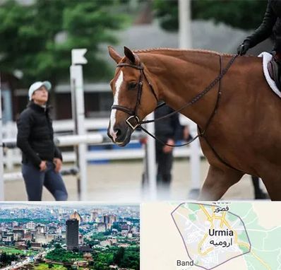 مربی سوارکاری در ارومیه