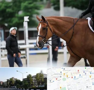 مربی سوارکاری در میدان کاج 