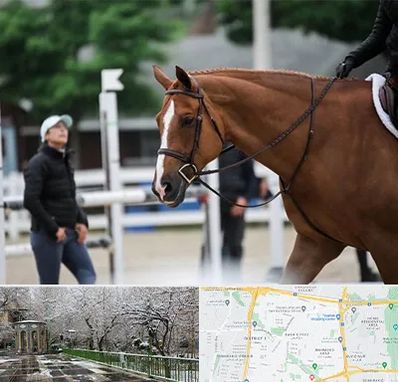 مربی سوارکاری در باغ فیض 