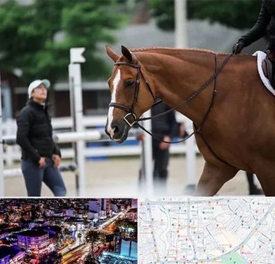 مربی سوارکاری در منظریه رشت 