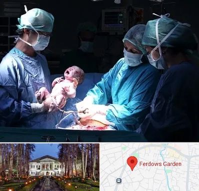 جراح سزارین در باغ فردوس