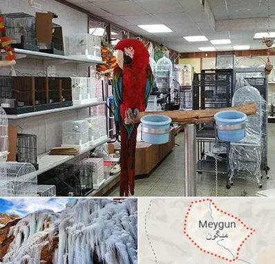 پرنده فروشی در میگون