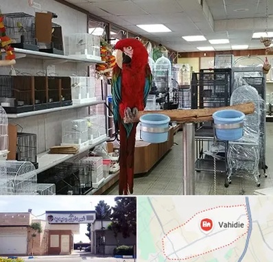 پرنده فروشی در وحیدیه شهریار