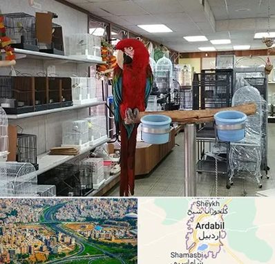 پرنده فروشی در اردبیل