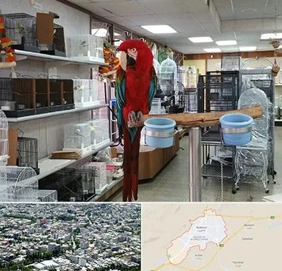 پرنده فروشی در شاهرود