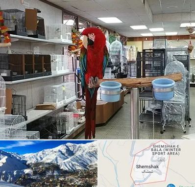 پرنده فروشی در شمشک