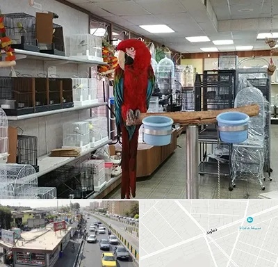 پرنده فروشی در خیابان دماوند