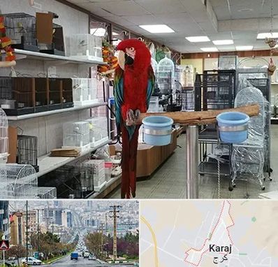 پرنده فروشی در گوهردشت کرج 