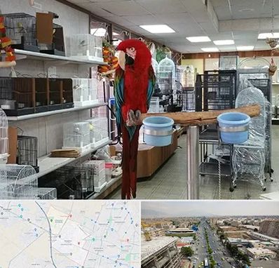 پرنده فروشی در حصارک کرج 