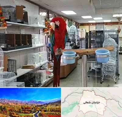 پرنده فروشی در خراسان شمالی