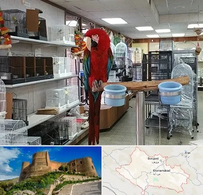 پرنده فروشی در لرستان